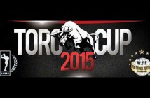 toro cup 2015
