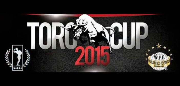 toro cup 2015